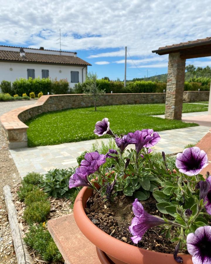 Il Cerro Apartment Arezzo Bagian luar foto